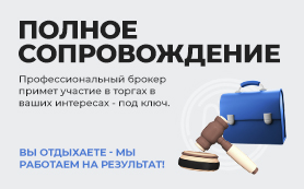 Полное сопровождение на торгах