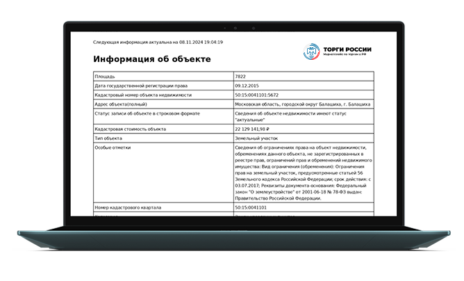Пример отчёта ЕГРН: информация об объекте на экране ноутбука