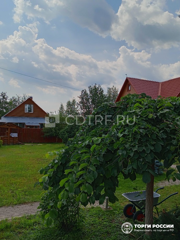 Изображение 16
