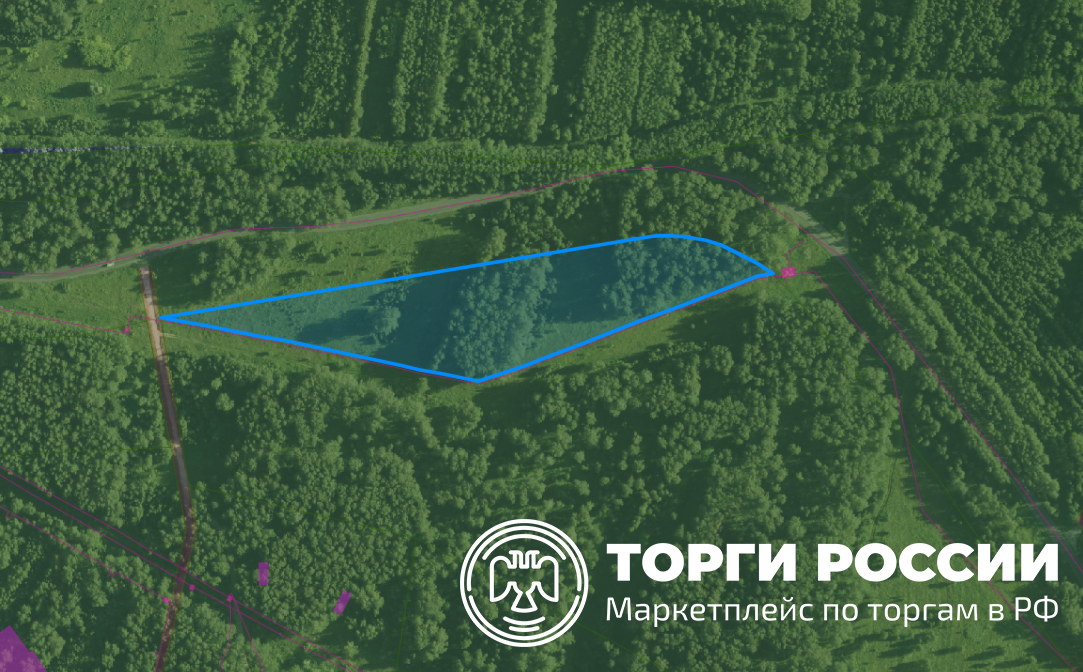 Право заключения договора аренды земельного участка с кадастровым номером 54:19: