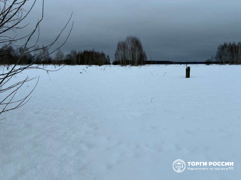 , ул. Новая, дом 46, участок 1 Площадь, кв.м: 497 Вид права, доля в праве: Общая