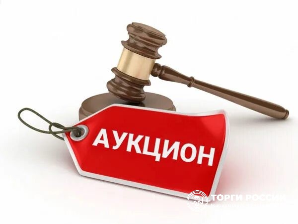 Комплекс Нежилых зданий площадью 97,40 кв.м. , 565,90 кв.м., 630,70 кв.м., 551,5