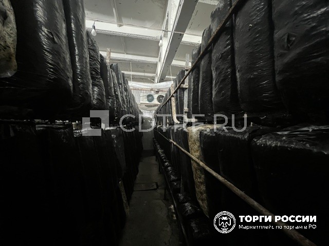 Готовый производственный бизнес с каналами сбыта, хранения и доставки грибов "Ве