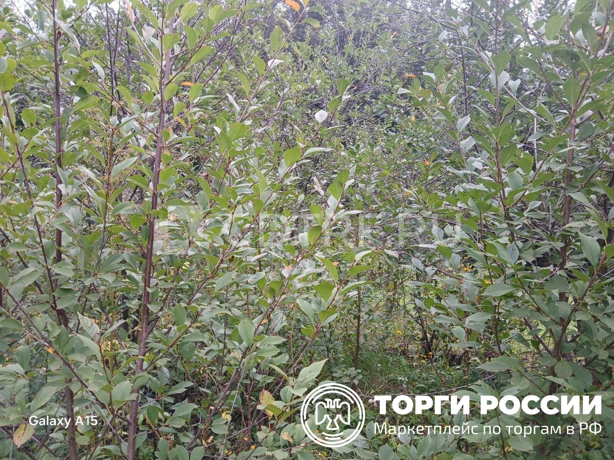 Изображение 8