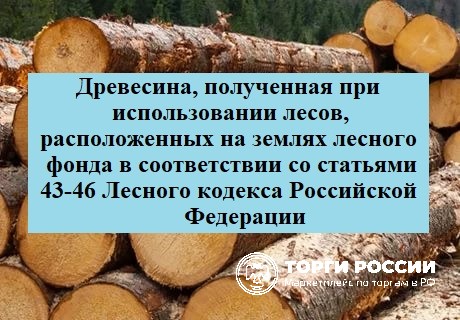 Древесина, которая получена при использовании лесов, расположенных на землях лес