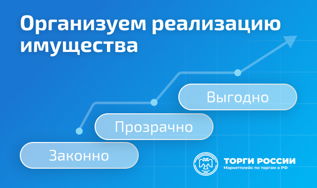 Боковой_в лоте_организация торгов