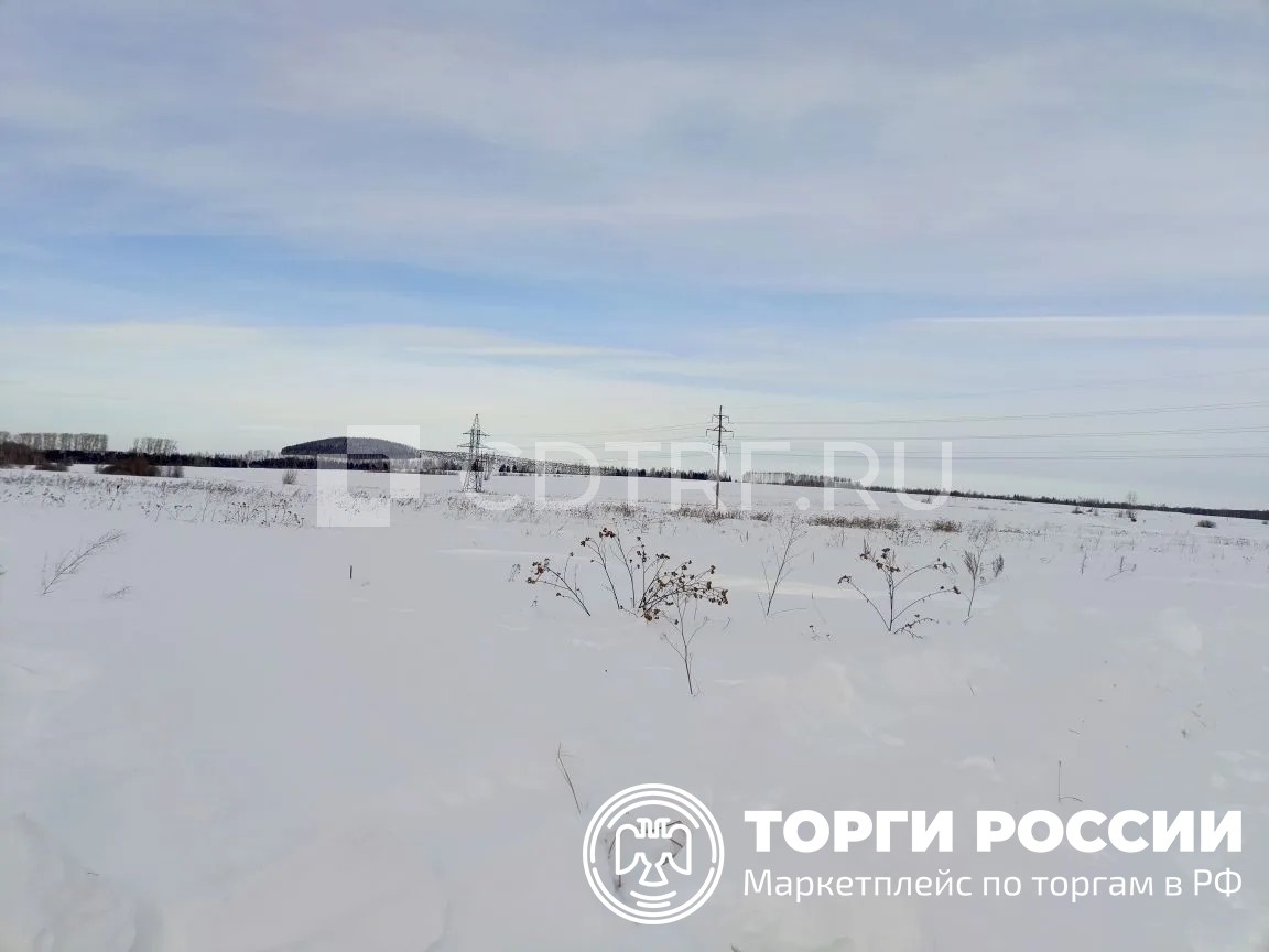 Главное изображение