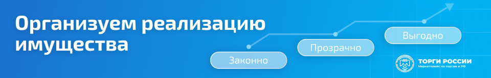 Баннер внутри лота_организация торгов_длинный