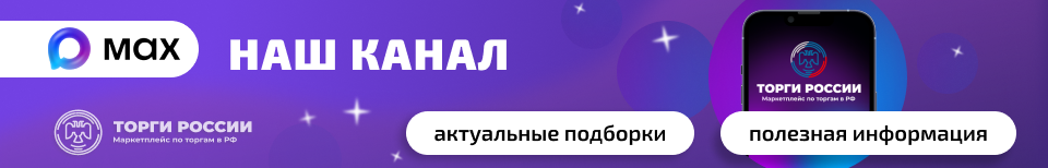 МАХ_банер внутри лота_длинный