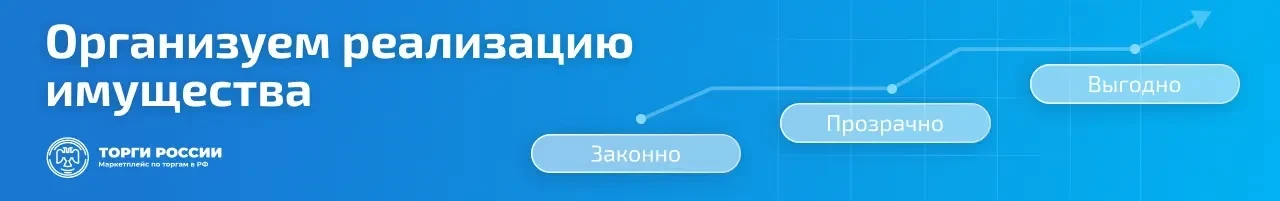 Каталог лотов - АУ (второй)