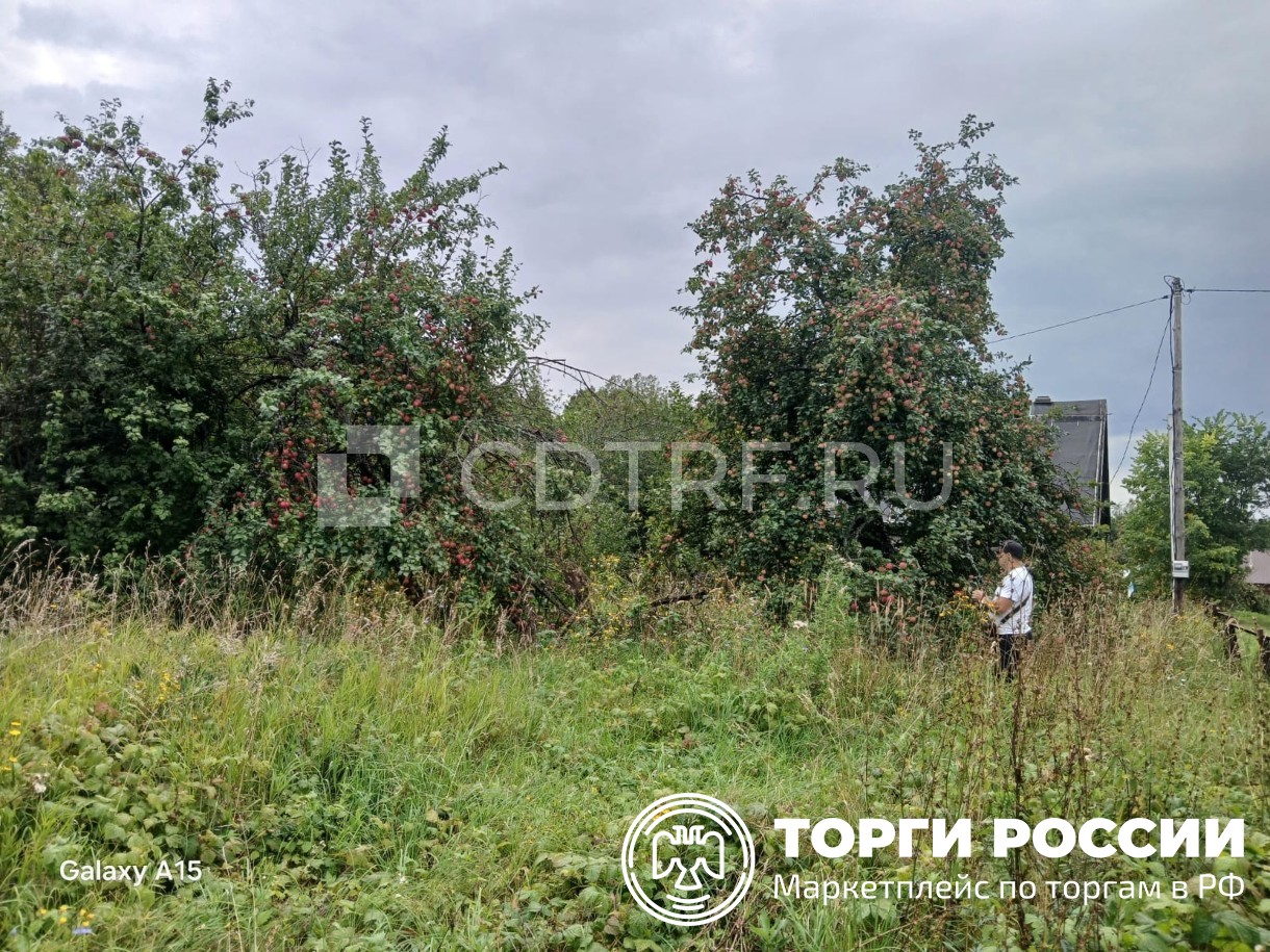 Главное изображение