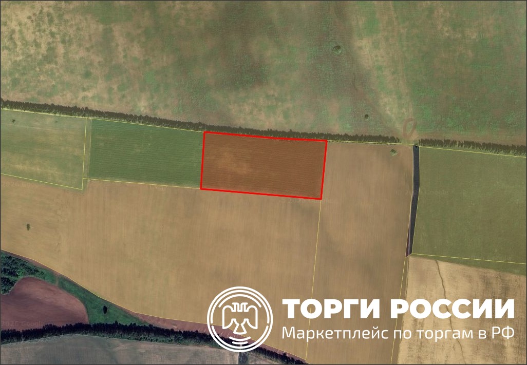 земельный участок