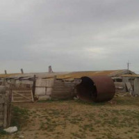 lot-picture-3
