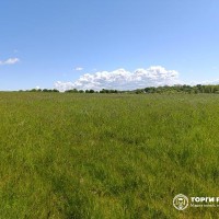 ориентира: Калининградская обл., Зеленоградский р-н, 400 м северо-западнее п. По