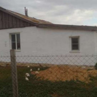 lot-picture-1
