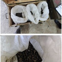 Лом черных и цветных металлов