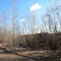 муниципальное образование Санкт-Петербурга поселок Белоостров, Новое шоссе, земе