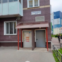 1/240 доля в праве общей долевой собственности на помещение: нежилое, кадастровый номер: 78:36:1310101:4438; Код:00-00009396,...