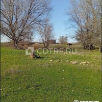 Открытые торги в виде публичного предложения. Собственник: …