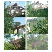 lot-picture-3