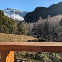 lot-picture-6