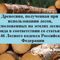Древесина, которая получена при использовании лесов, расположенных на землях лес