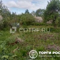 Торги должника …: Земельный участок, кадастровый номер: 74:41:0202004:288