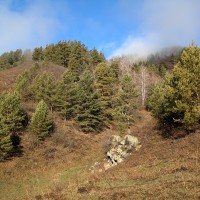 lot-picture-3