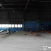 lot-picture-25