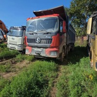 Shacman (Shaanxi) SX* 8x4 Самосвал SX331863366 (Дизельный, 12,5 л, 551 л.с., МТ)