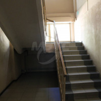 lot-picture-2