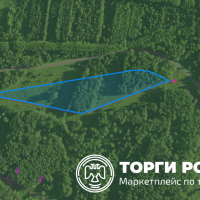 Право заключения договора аренды земельного участка с кадастровым номером 54:19:
