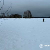 , ул. Новая, дом 46, участок 1 Площадь, кв.м: 497 Вид права, доля в праве: Общая
