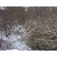 3/4 доли земельного участка в Саратовской обл.