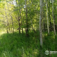Земельный участок - 25 009 +/- 1 384 кв. м, адрес: местоположение установлено от
