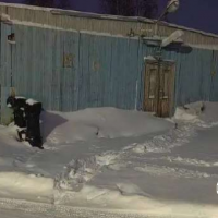 -городок "Таежный" №501 Вахта 40, к 6. Площадь: 19.5. Вид права, доля в праве: С