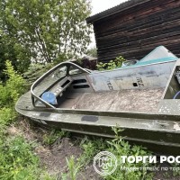 Маломерное судно Амур Д