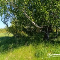 Земельный участок - 66 500 +/- 2 256 кв. м, адрес: местоположение установлено от