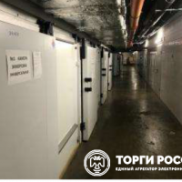 lot-picture-42