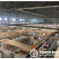 lot-picture-37