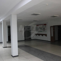 lot-picture-12