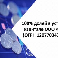 100% долей в уставном капитале ООО «ТПЛ» (ОГРН 1207700436602), размер уставного 
