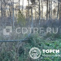 Торги должника …: Земельный участок, кадастровый номер: 74:19:0000000:2434