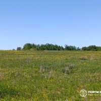 Земельный участок - 63 999 +/- 2 214 кв. м, адрес: местоположение установлено от