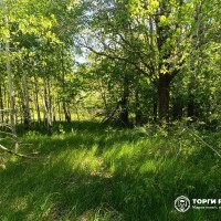Земельный участок - 64 000 +/- 2 214 кв. м, адрес: местоположение установлено от