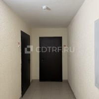 lot-picture-3