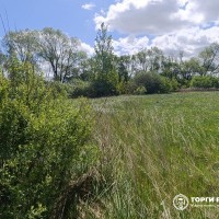 Земельный участок - 104 000 +/- 113 кв. м, адрес: местоположение установлено отн