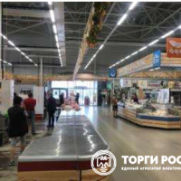 lot-picture-38