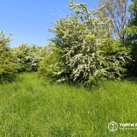 ориентира: Калининградская обл., Гурьевский р-н, ТОО "Прибрежное-1", кадастровый