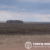 1/29 доля земельного участка, площадь 3045000 кв.м., назначение: Земли сельскохо